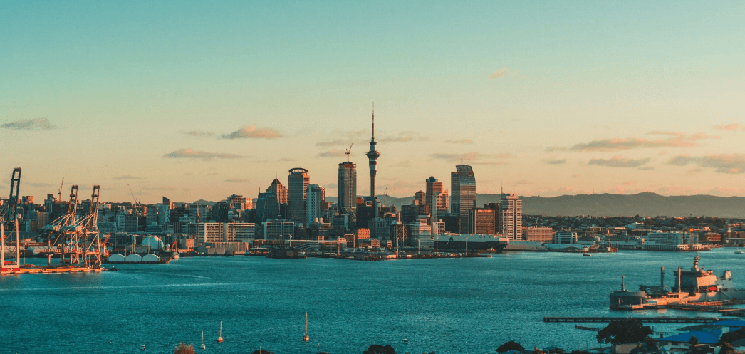 Study in New Zealand